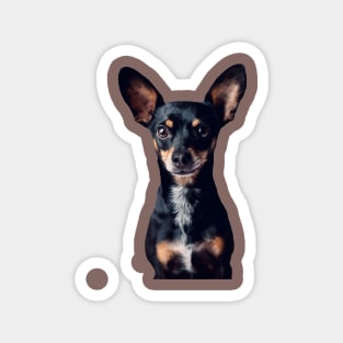 Mini Pinscher Magnet