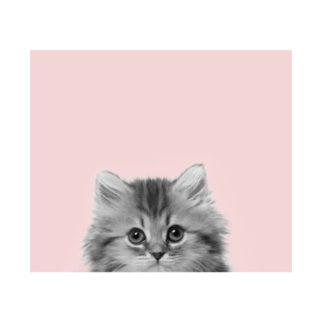 Blush pink kitten pop by RoseAesthetic