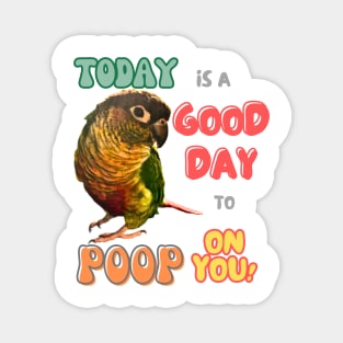 Green Cheek Conure Bird, Small Parrot, Parakeet, Today is a good day to poop on you Magnet