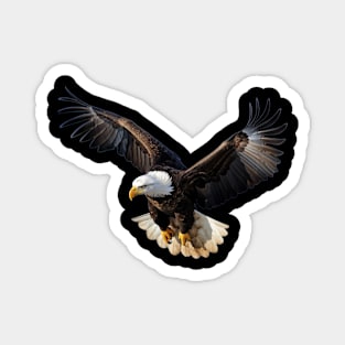 Flight of the Majestic Bald Eagle Magnet