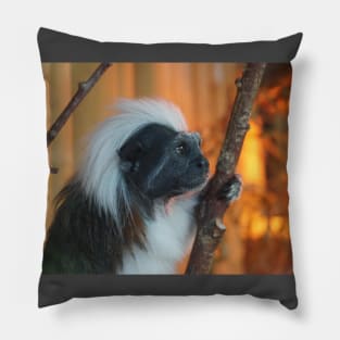 Cotton - Top Tamarin Pillow