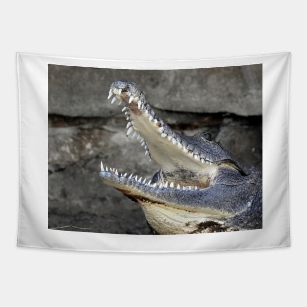 Freshwater Crocodile Tapestry by kirstybush