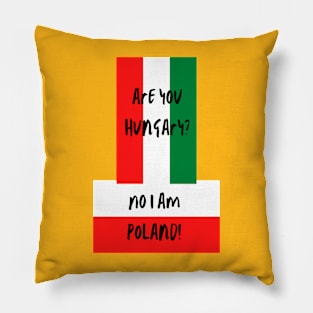 Are you Hungary? No I am Poland! A funny (terrible) countries joke Design! Pillow