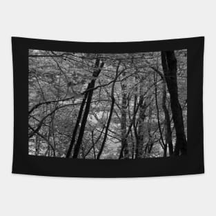 Monochrome forest Tapestry