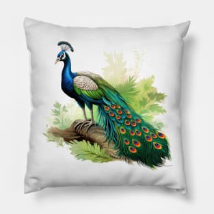 Peafowl Pillow