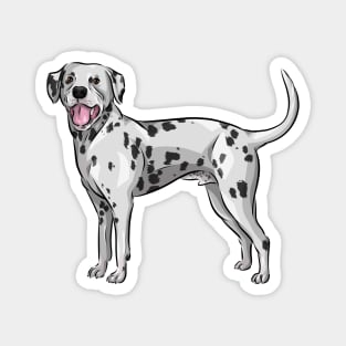 Cute Dalmatian Dog Magnet