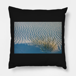 Yucca in White Sand Pillow