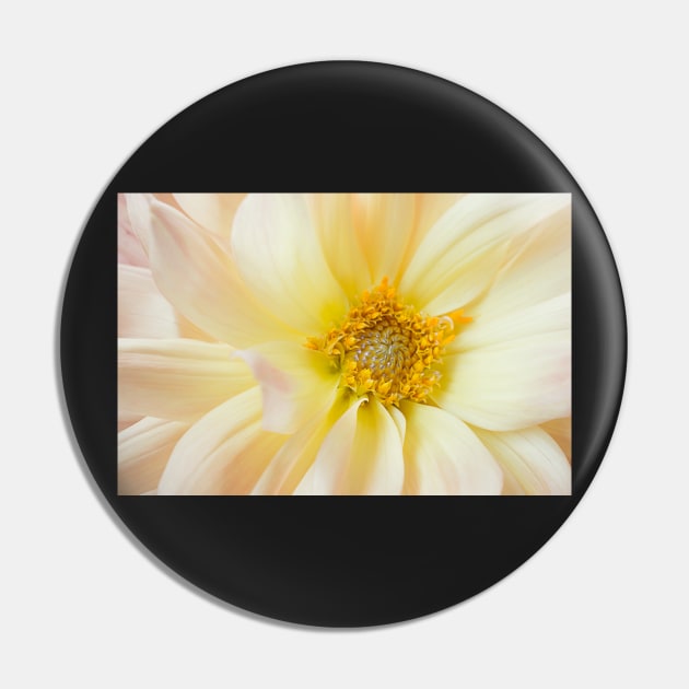 Yellow Dahlia Greeting Card Pin by mariola5