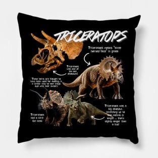 Triceratops Fun Facts Pillow