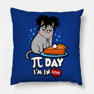 Funny Cute Cat 90's Funny Pi Day Catshirt Meme Pillow