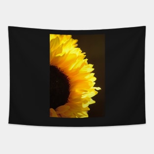 Sunflower, Sunflower Tapestry