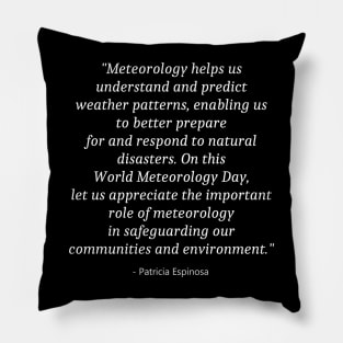 World Meteorological Day Pillow