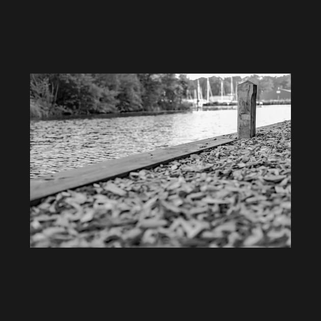 Wooden mooring post on the River Ant in the Norfolk Broads by yackers1