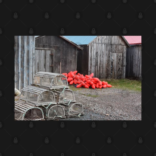 Lobster pots and floats behind the sheds by rconyard