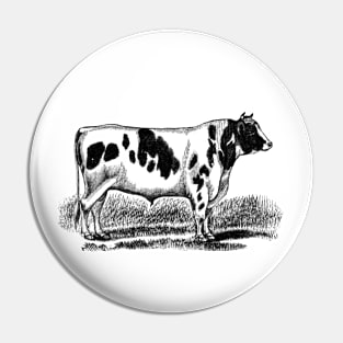 Holstein Bull Black and White Vintage Illustration Pin