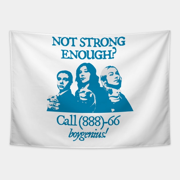 Boygenius not strong enough Tapestry by ivanc2814