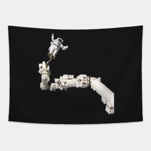 spacewalk Tapestry