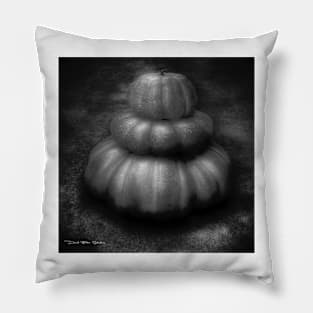 Nice Set Of Gourds - Black and White Pillow