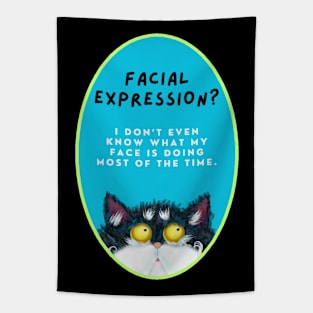 Facial Expression Tapestry