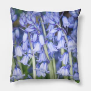 Spring Bluebells Pillow