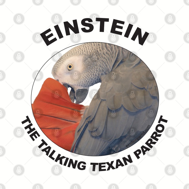 Einstein Parrot African Grey Logo by Einstein Parrot