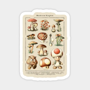 Mushroom Kingdom Magnet