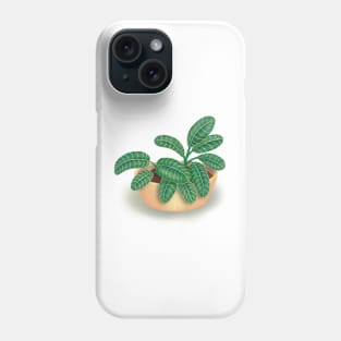 House Plant Potted Tropical Leaf Illustration Phone Case