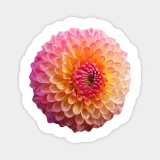 Beautiful Dahlia flower Graphic Art Print Magnet