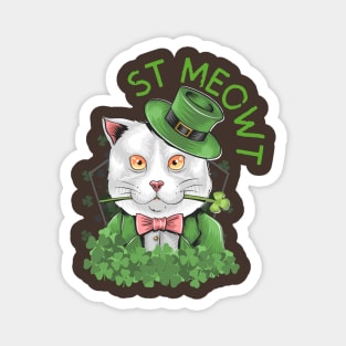 st patrick's day cat hat Magnet