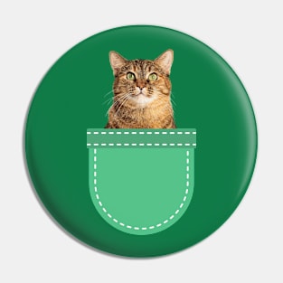 Grey Tabby Cat in Pocket Pin