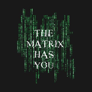 The matrix has you - Matrix T-Shirt