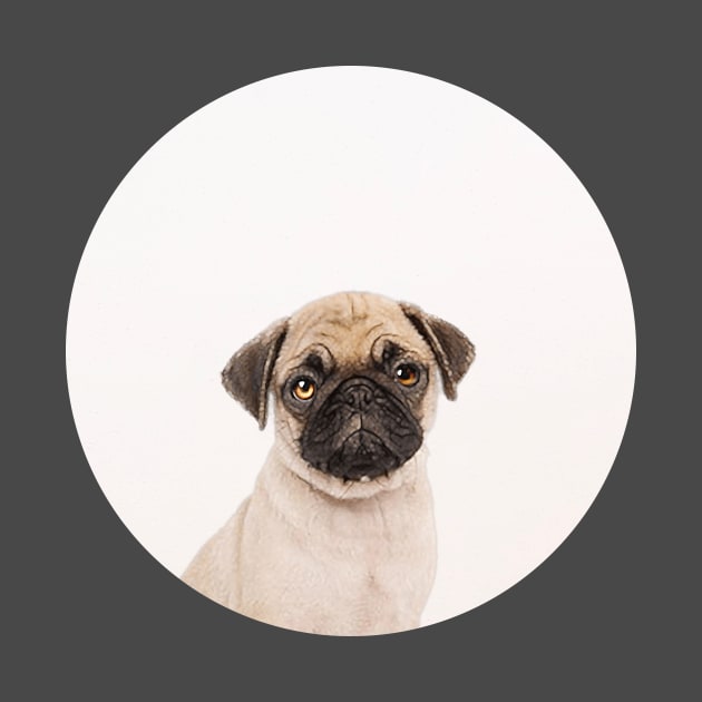 Puggly the Pug Dog by Vin Zzep