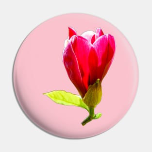 In the Pink, Magnolia Pin