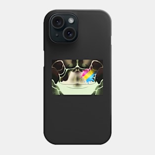 Pansexual Sea Turtle Face Phone Case