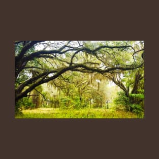 Spanish Moss in Trees T-Shirt