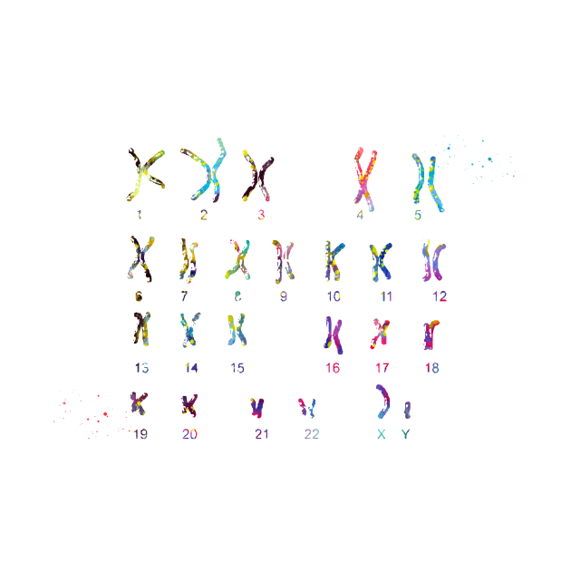 Male Chromosome idiogram by erzebeth