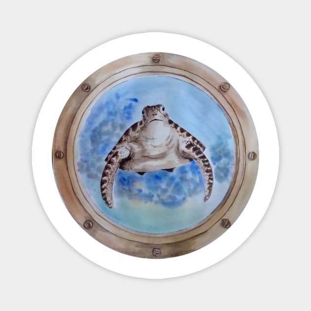 sea turtle behind the window Magnet by Zamen