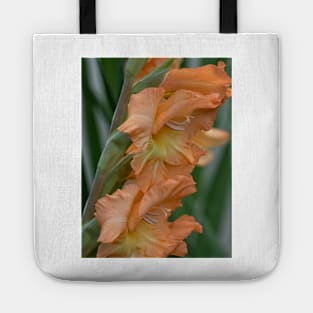 Gladiolus Pretty Peachy Tote