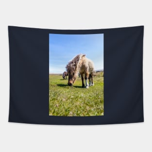 Dartmoor Pony Tapestry