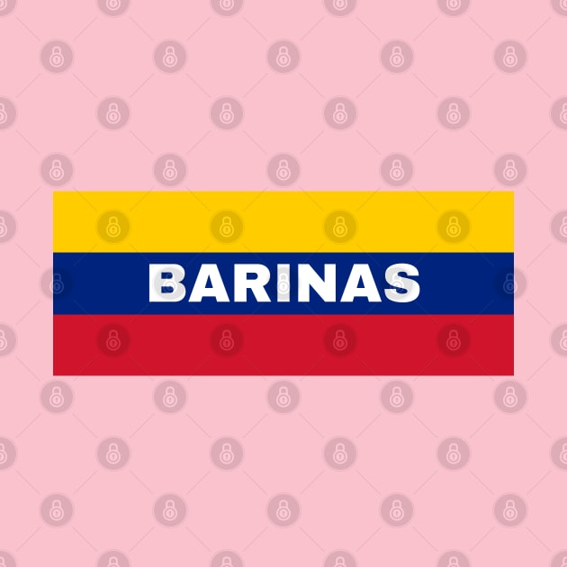 Barinas City in Venezuelan Flag Colors by aybe7elf