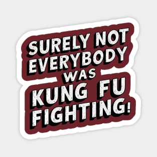 Surely Not Everybody Was Kung Fu Fighting Magnet