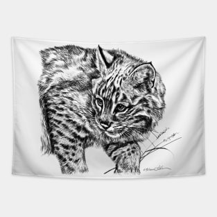 Curious Bobcat Portrait Black and White Tapestry