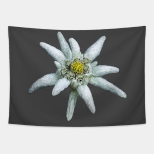 Edelweiss Tapestry