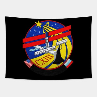 Black Panther Art - NASA Space Badge 71 Tapestry