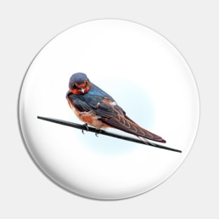 A Swallow Pin