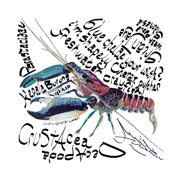 Cherax pulcher, freshwater crayfish by michdevilish