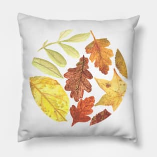 Fall Leaves Pillow