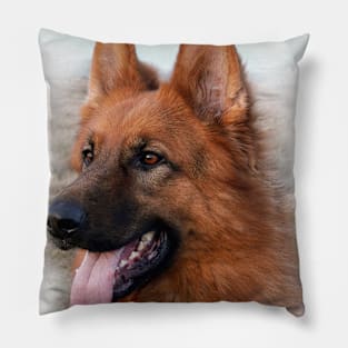 Murphy Pillow