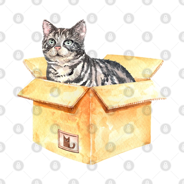 Funny Watercolor American Shorthair Cat Inside a Box by labatchino