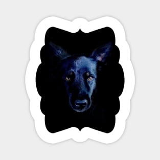 The Black Dog Magnet